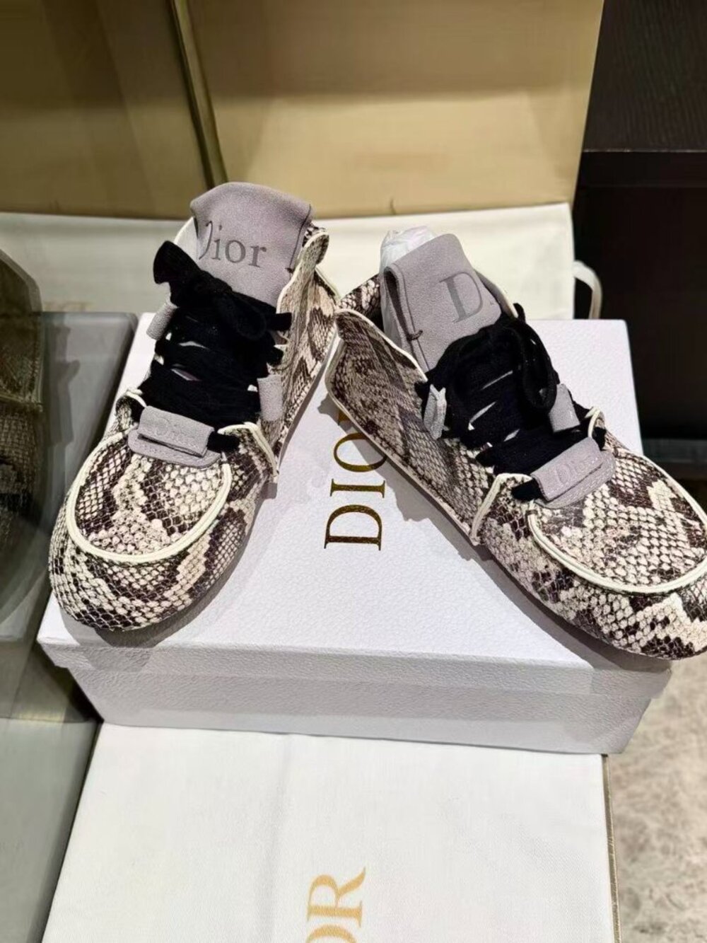 Dior Snake Print Sneakers